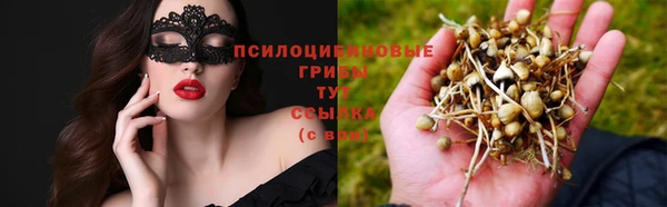 стафф Белокуриха