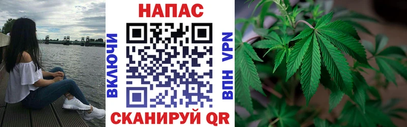 закладка  omg tor  Конопля сатива  Пестово 